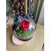 Cloche Rose Eternelle